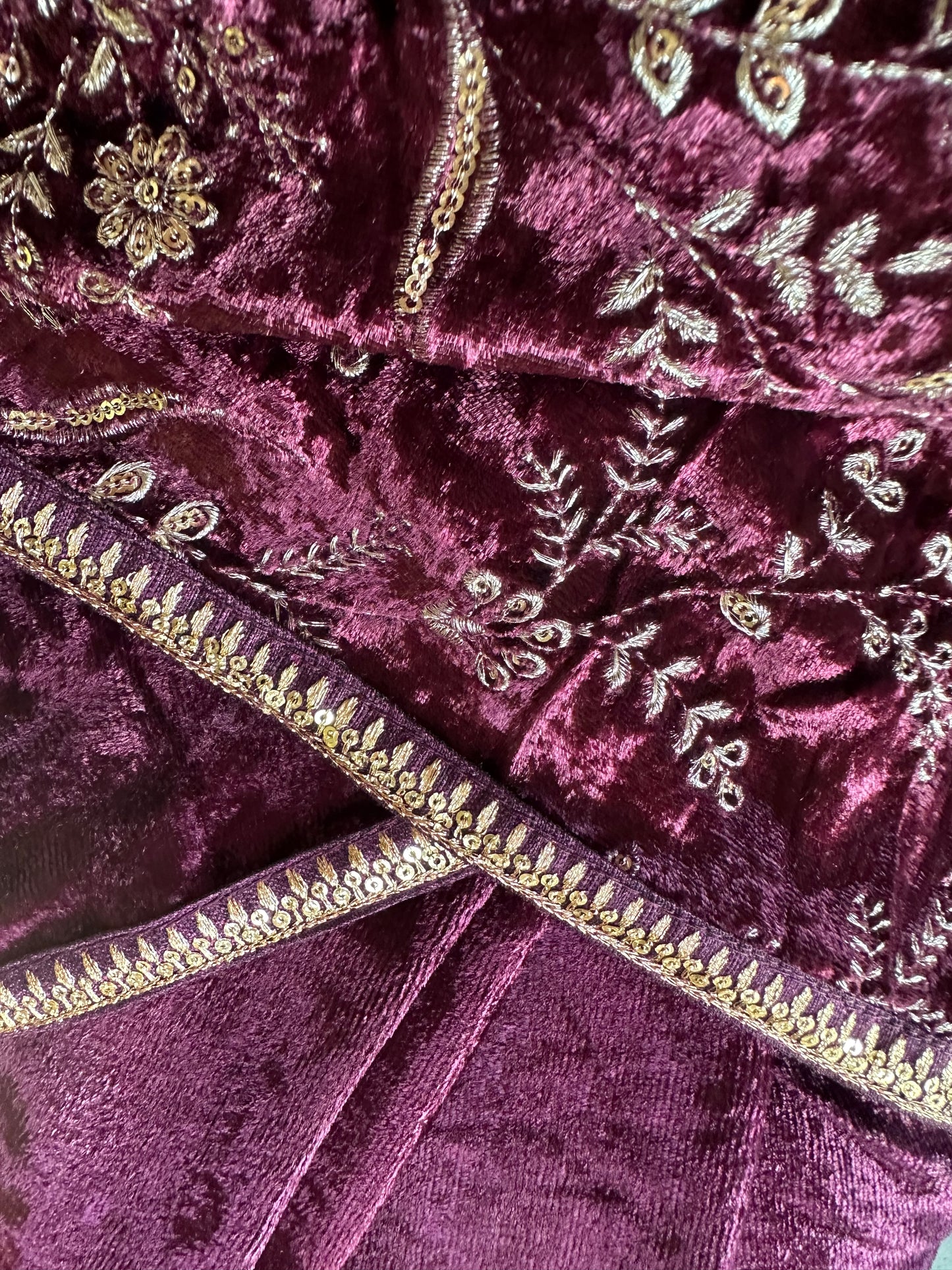 KAMKHYA VELVET SARI