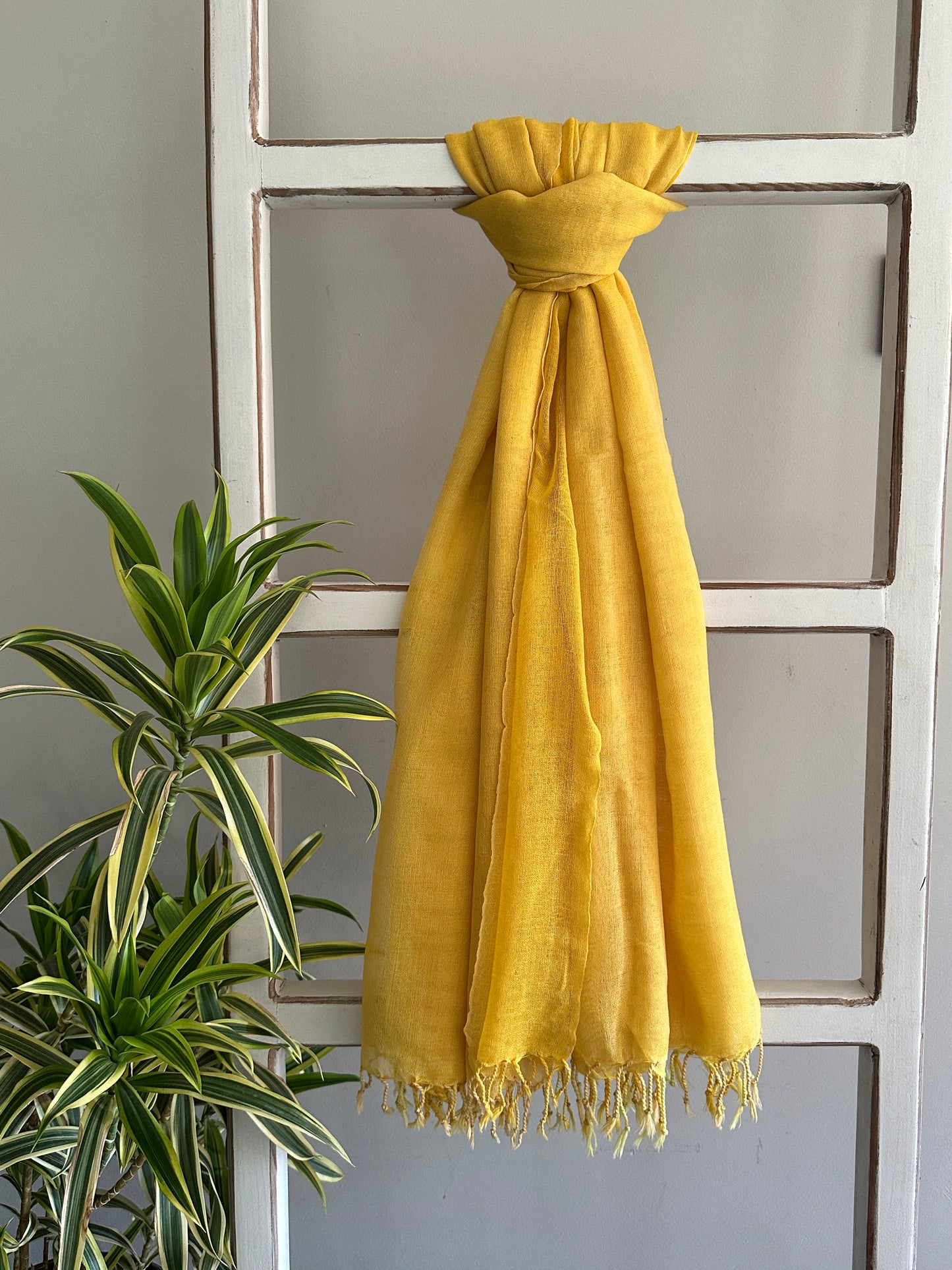 GOMATESHWARA SHAWL ( Three Layer Shawl )