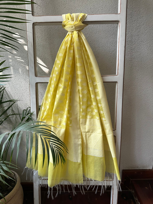 JAYSHREE  BANARASI  DUPATTA