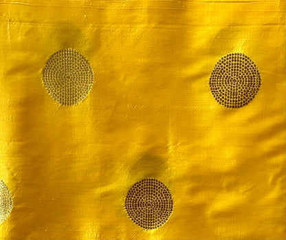 MANAS 2 PIECE  SILK  SUIT  SET