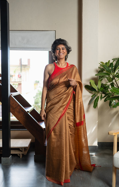 JANVI  SILK  SARI