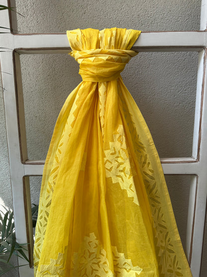 DITYA  APPLIQUE  DUPATTA