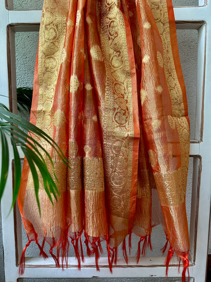 RAJKUMARI TISSUE DUPATTA