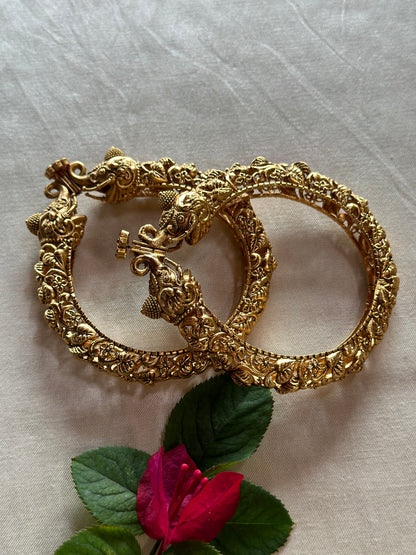 JANVI BANGLES