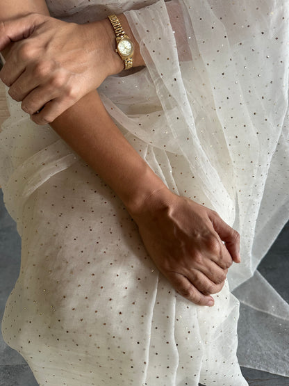 VIDUSHI RANI  SILK ORGANZA SAREE