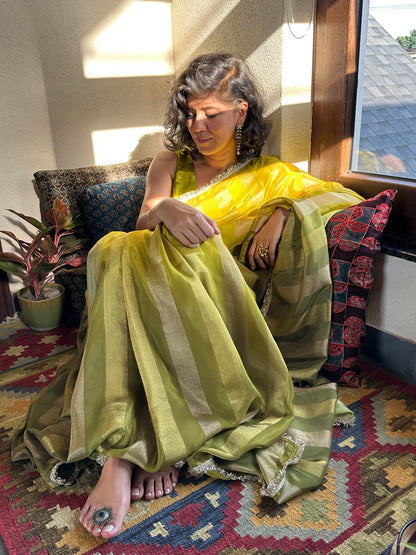 AINDRI TISSUE SARI
