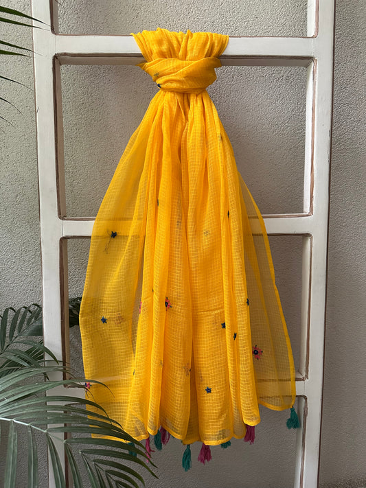 KALNI  KOTA  DUPATTA