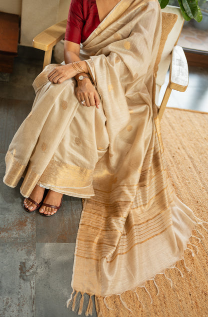 BHOOMIKA  SILK  SARI