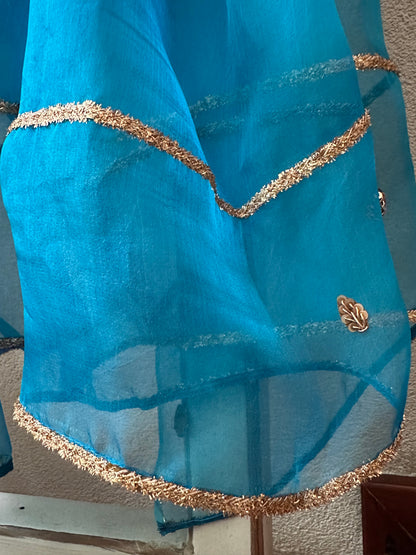 ANAMIKA 2 PIECE  SILK  SUIT  SET