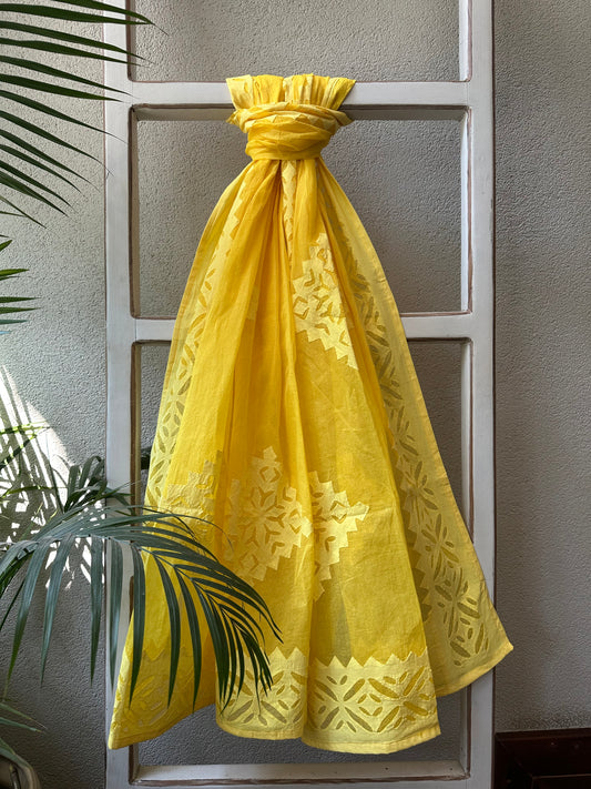 DITYA  APPLIQUE  DUPATTA