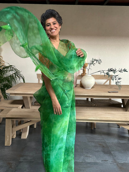 MEERA BAI  SILK ORGANZA SAREE