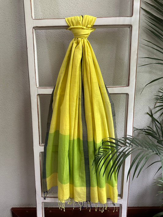 CHAKORI  COTTON  DUPATTA