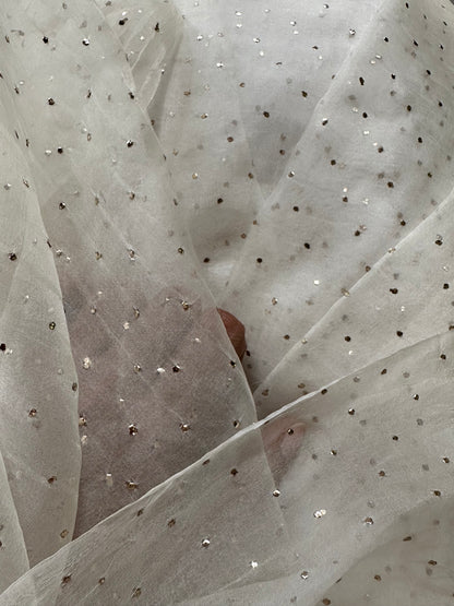 VIDUSHI RANI  SILK ORGANZA SAREE