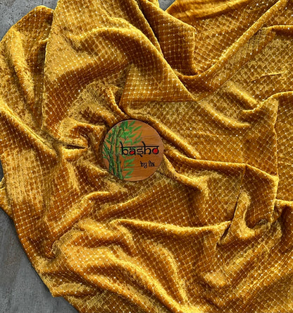 MADHU MALTI LACE SARI