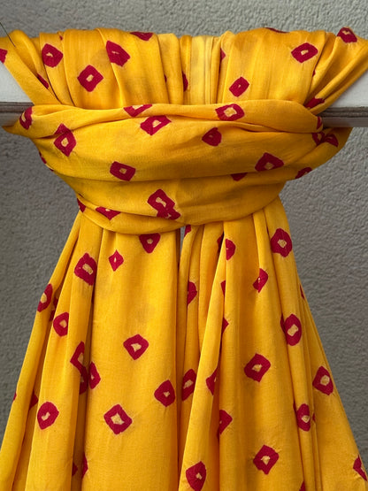 GARIMA  BANDHANI  MODAL  DUPATTA