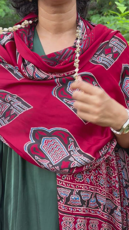 MEENA  MODAL  DUPATTA