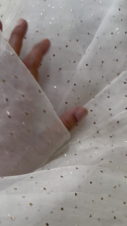 VIDUSHI RANI  SILK ORGANZA SAREE